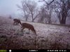 hunting 032.jpg