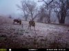 hunting 033.jpg