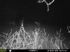 hunting 042.jpg