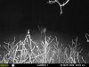 hunting 046.jpg