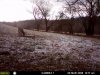 hunting 055.jpg