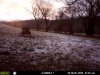 hunting 060.jpg