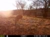 hunting 064.jpg