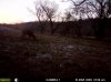 hunting 068.jpg