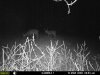 hunting 080.jpg