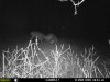 hunting 082.jpg