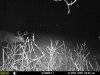 hunting 083.jpg