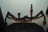 DSC_1965.JPG