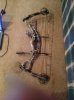 Hoyt Alphamax 32.jpg