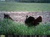 Turkey (2).jpg