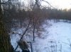CAM00301.jpg