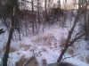 CAM00300.jpg