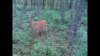 Snapshot 1 (10-16-2013 9-48 PM).jpg