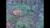 Snapshot 3 (10-16-2013 9-49 PM).jpg