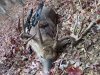 new hunting 066.jpg