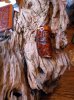 IMG_2411.JPGresize.jpg