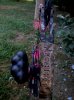 IMG_20130911_092408.jpg