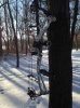 Bear - Snow Camo.jpg