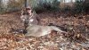 IMG_20131109_094210_978.jpg