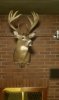 wallhanger.jpg