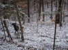 treacherous blizzard.jpg
