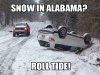 ROLLTIDE.jpg