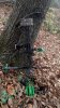 2012-11-02_11-31-39_793.jpg
