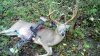 2013 bow kill2.jpg