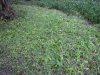 20130909_184918.jpg