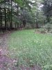 20130909_185014.jpg