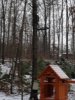 IMG_0344.jpg