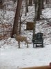 IMG_0345.jpg