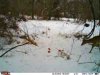 ImageUploadedByTapatalk1392322413.226078.jpg