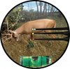 deer_20yd (1).jpg