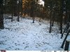 IMAG0018.jpg