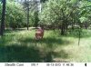 6-13-12 Cemetary Ridge.jpg