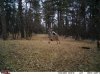 11-30-12 Cem Ridge.jpg