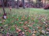 20131012_112146.jpg