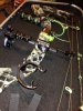 Hogg-It 5Pin Heli-m.jpg