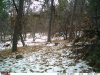 IMAG0040.jpg