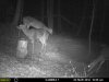 more@MoultrieA5.jpg
