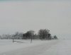 icestormb.jpg