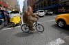BikingInNYC.jpg