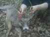6 point.jpg