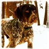 uploadfromtaptalk1394420116134.jpg