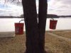 ImageUploadedByTapatalk1394905960.064341.jpg