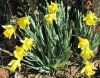 3-15-14 004_crop.jpg