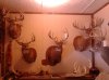 20140317_142813.jpg