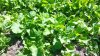 20130714_103242_26694.jpg