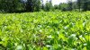20130810_120707_51643.jpg